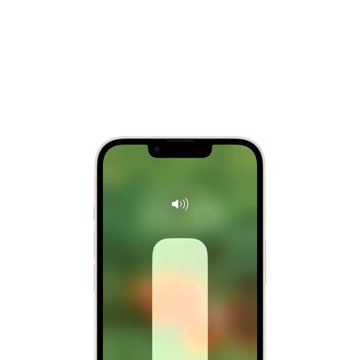 iPhone szerviz